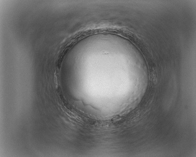 X0000051251493200507082136