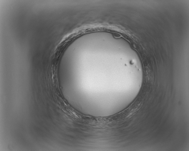 X0000051251494200507082136