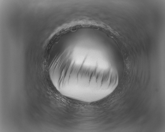 X0000051251495200507082136