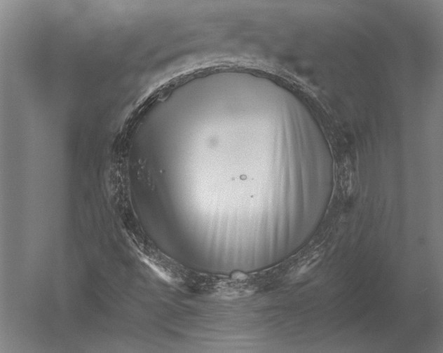 X0000051251496200507082136