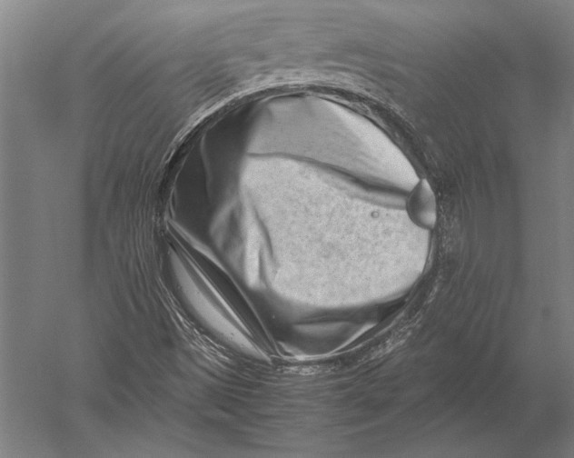 X0000051251497200507082136