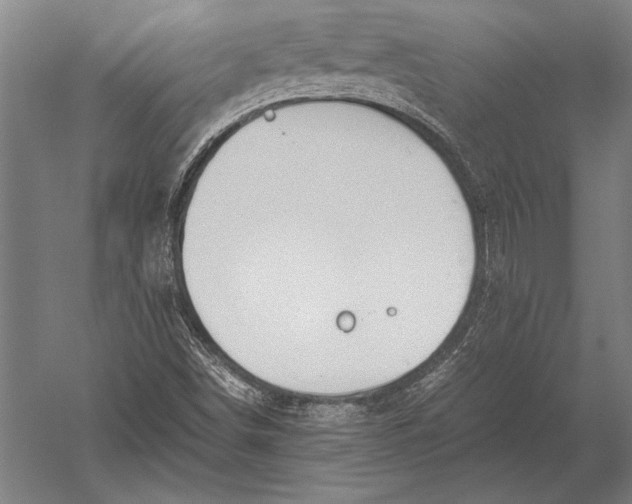 X0000051251498200507082136