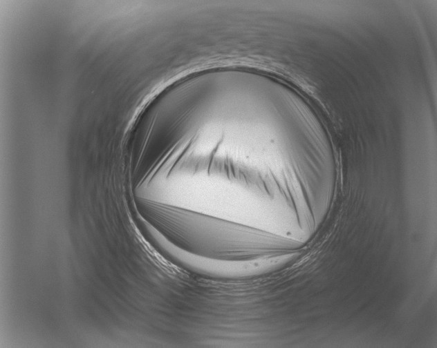 X0000051251500200507082136