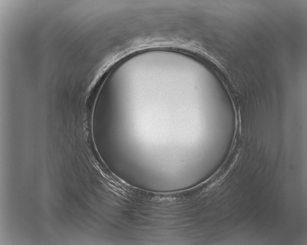 X0000051251501200507082136