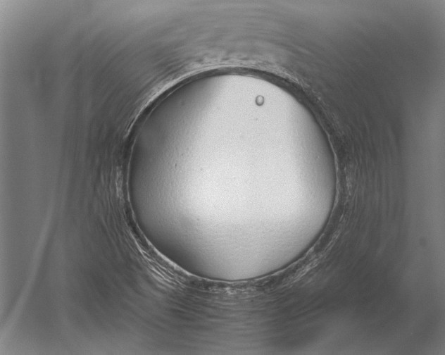 X0000051251505200507082136