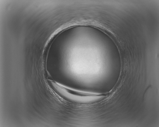 X0000051251506200507082136