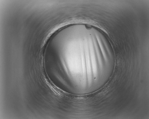 X0000051251507200507082137