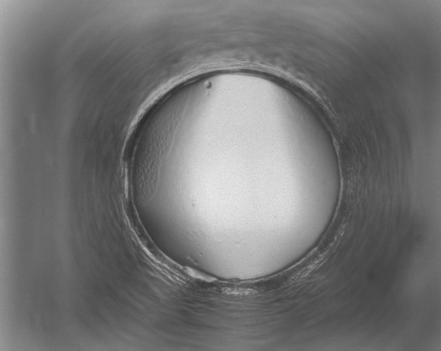 X0000051251509200507082137