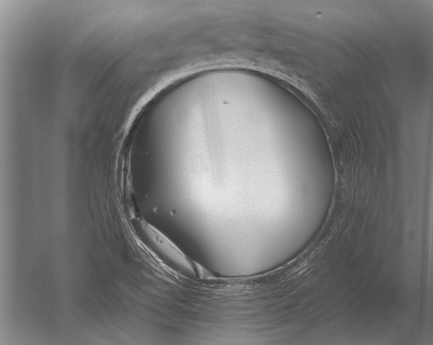 X0000051251510200507082137