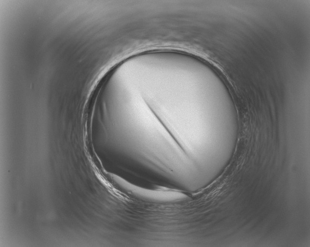 X0000051251511200507082137