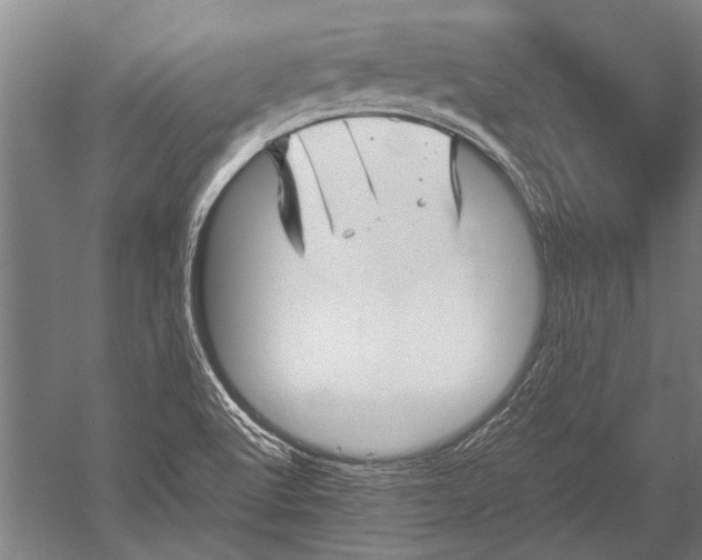 X0000051251512200507082137