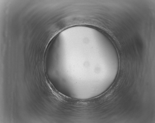 X0000051251513200507082137