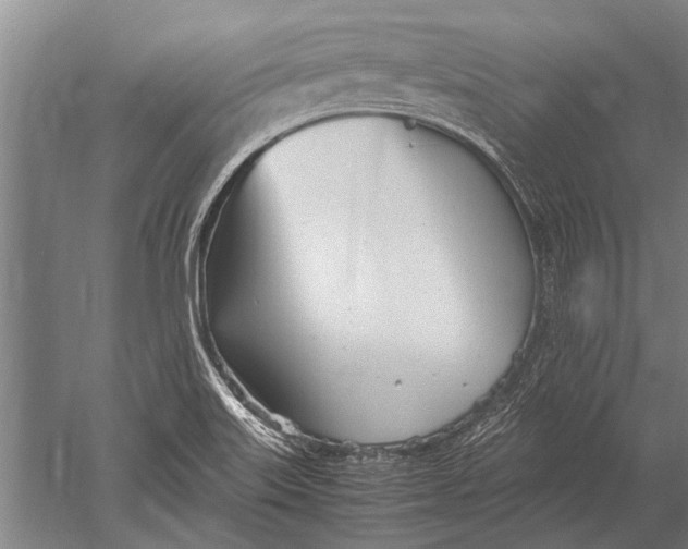 X0000051251515200507082137