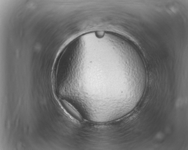 X0000051251517200507082137