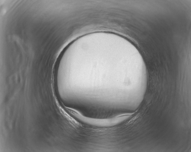 X0000051251518200507082137