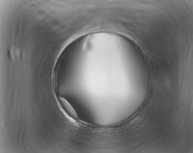 X0000051251519200507082137