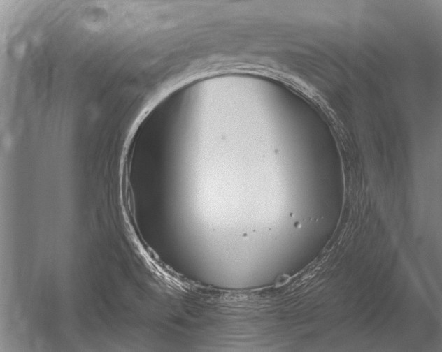 X0000051251520200507082137