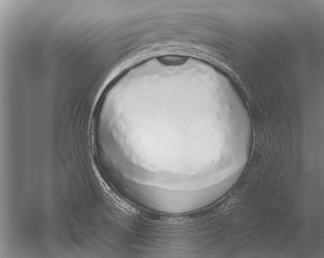 X0000051251522200507082137