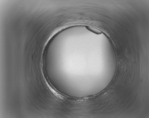 X0000051251523200507082137