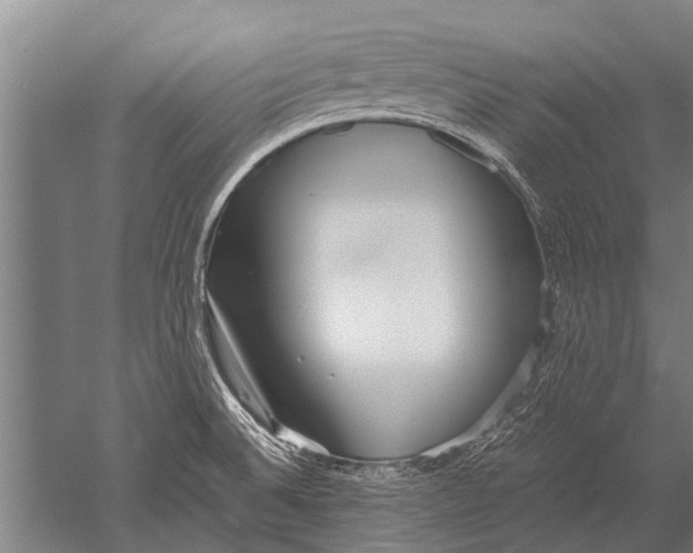 X0000051251524200507082137