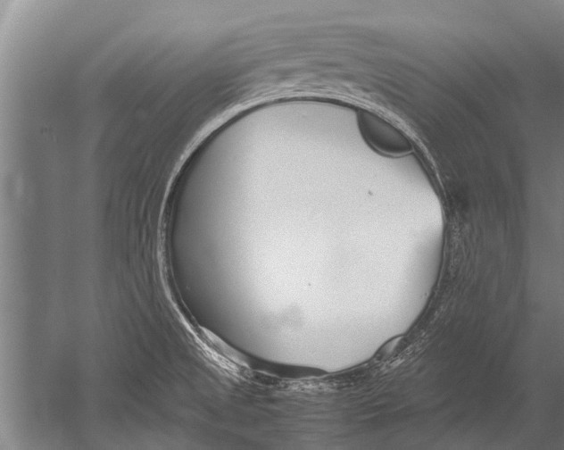 X0000051251525200507082137