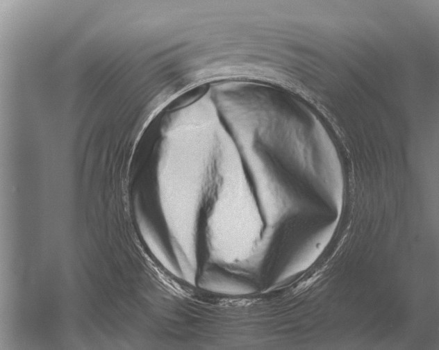 X0000051251529200507082137