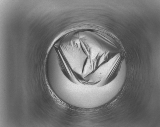 X0000051251530200507082137