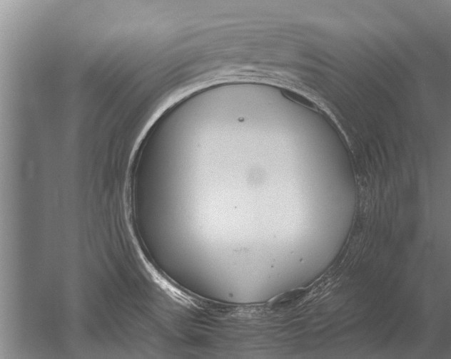 X0000051251531200507082137