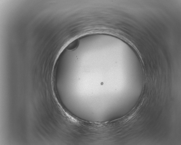 X0000051251533200507082137