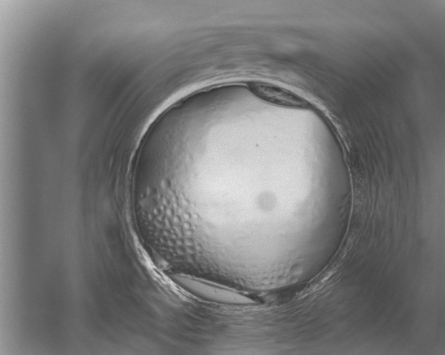 X0000051251534200507082137