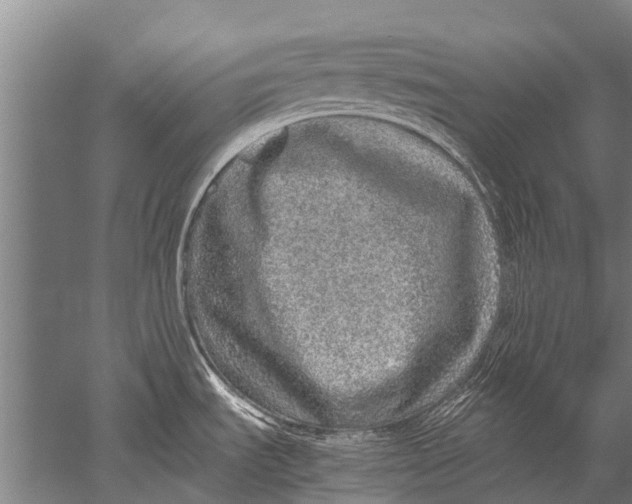 X0000051251535200507082137