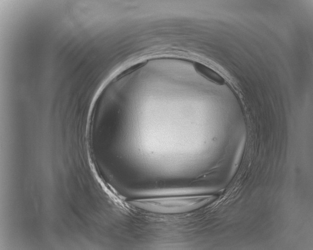 X0000051251536200507082137