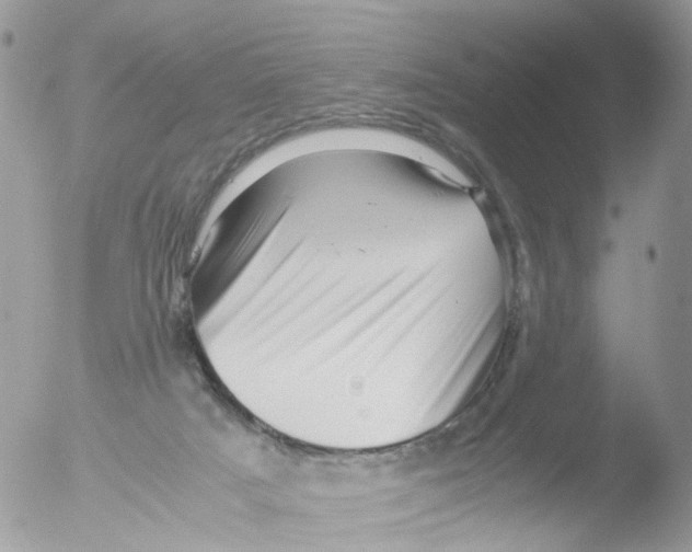 X0000051250025200507152201