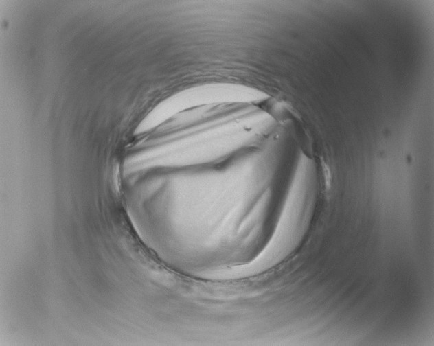 X0000051250041200507152201