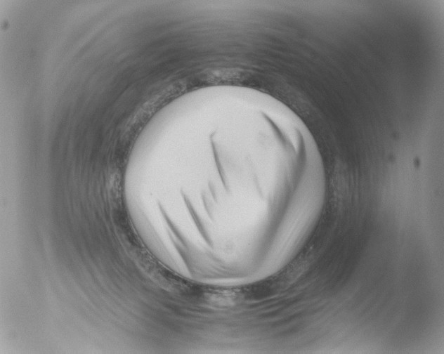 X0000051250079200507152200