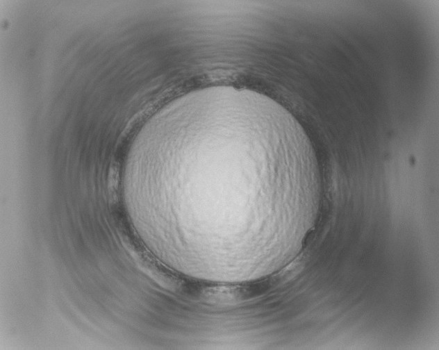X0000051250082200507152200