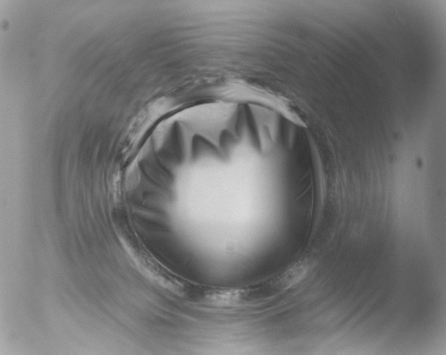 X0000051250084200507152200