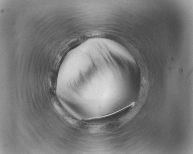 X0000051250096200507152201