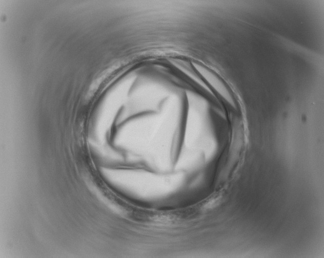 X0000051250105200507152200