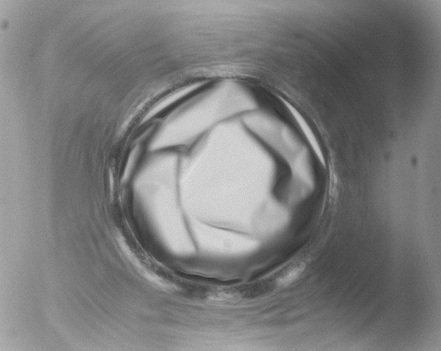 X0000051250109200507152200