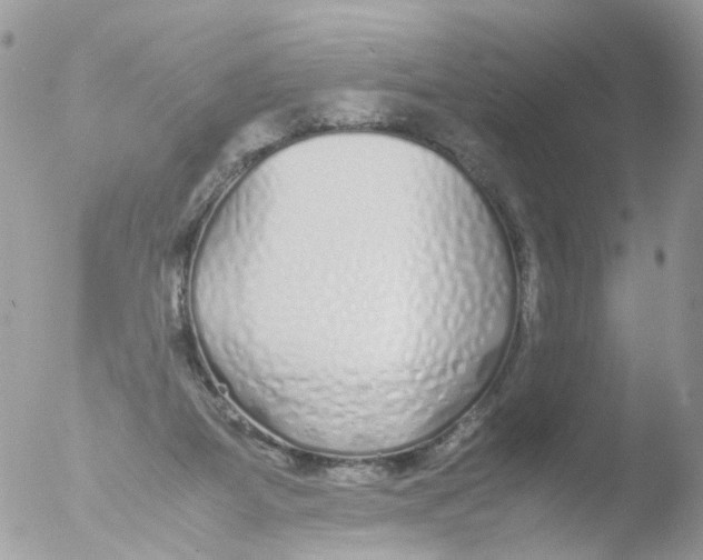 X0000051250115200507152159