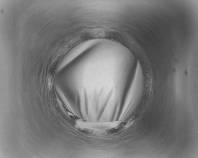 X0000051250125200507152159