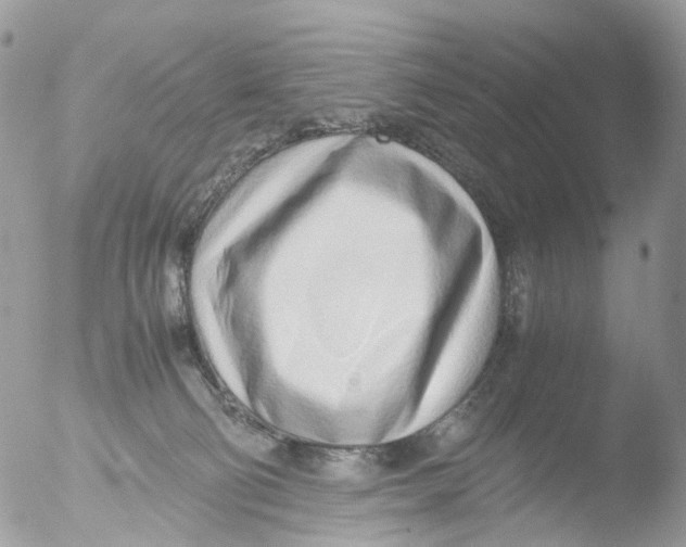 X0000051250130200507152159