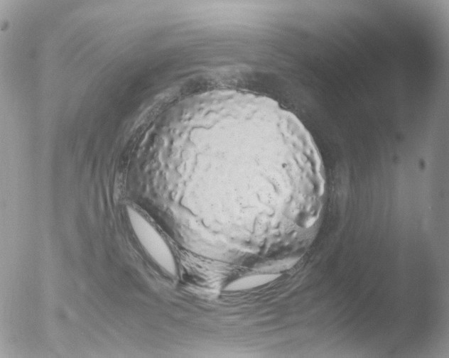 X0000051250139200507152159