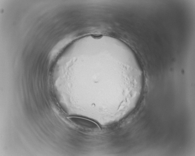 X0000051250149200507152158