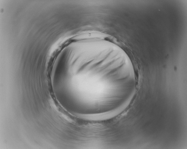 X0000051250150200507152158