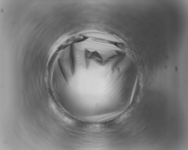 X0000051250152200507152158