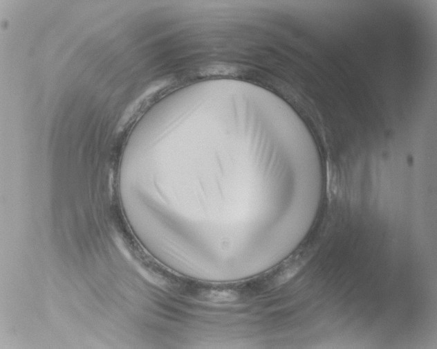 X0000051250157200507152158