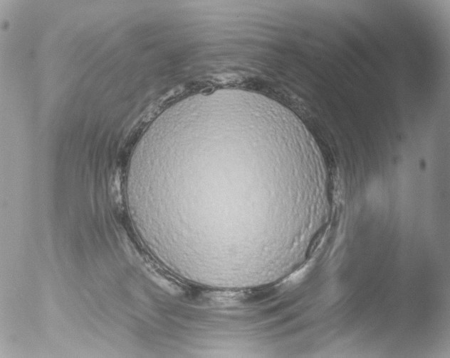 X0000051250182200507152159