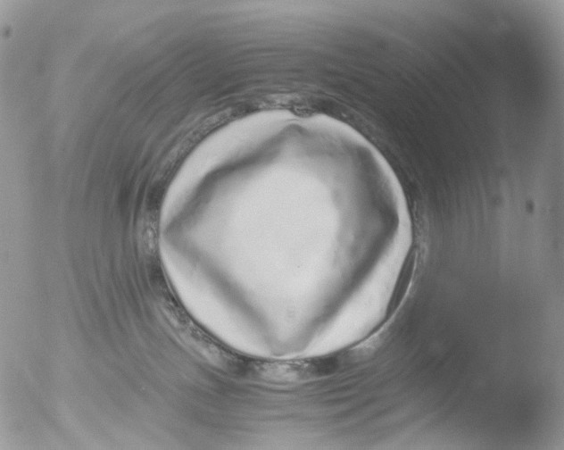 X0000051250191200507152159